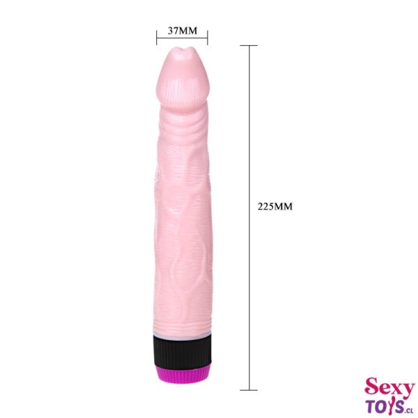 Dildo Vibrador BaiLe Modelo BW-001081 - Imagen 4